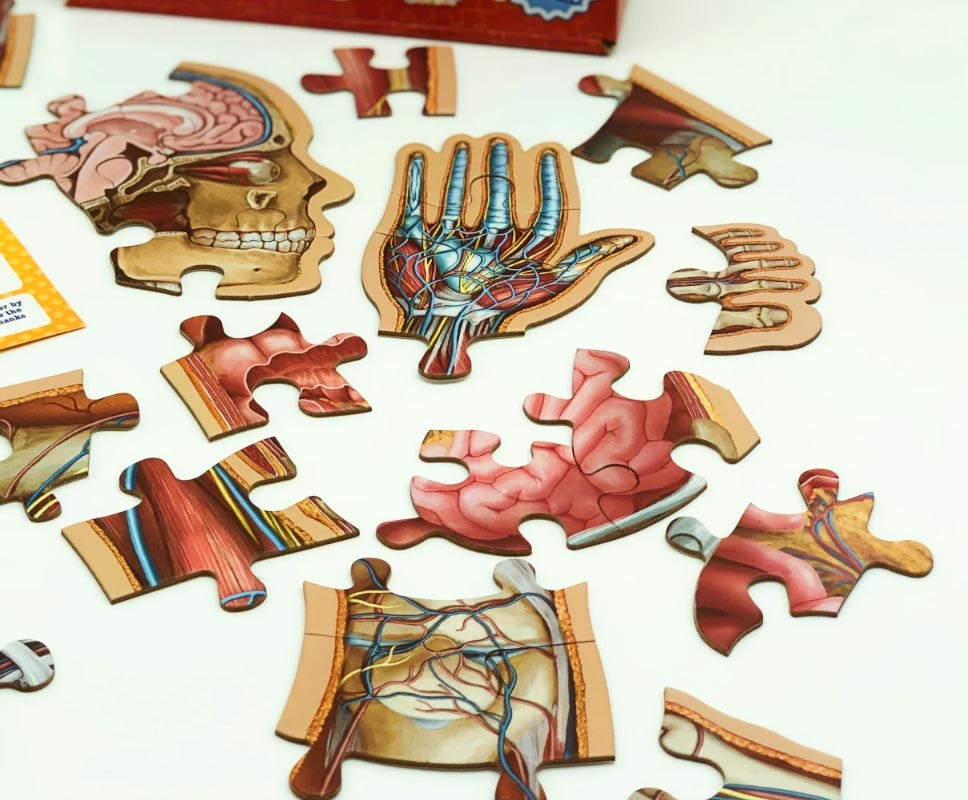 Puzzle - Junior-Anatomiepuzzle: Der Mensch 100 Teile