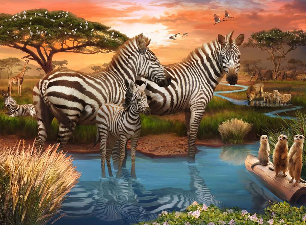 Puzzle - Zebras am Wasserloch 500 Teile