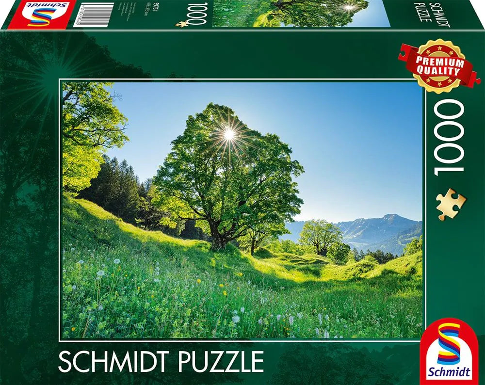 Berg-Ahorn im Sonnenlicht - St. Gallen, Schweiz | Puzzle 1000T
