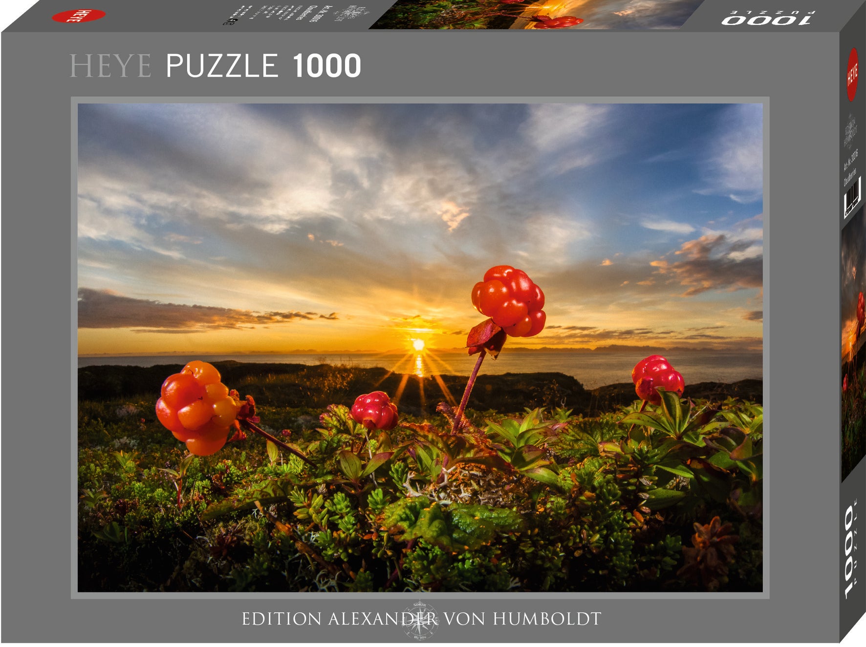 Puzzle - Cloudberries 1000 Teile