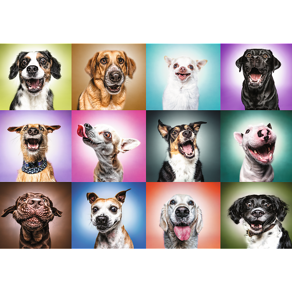Puzzle - Funny Dog Faces 1000 Teile