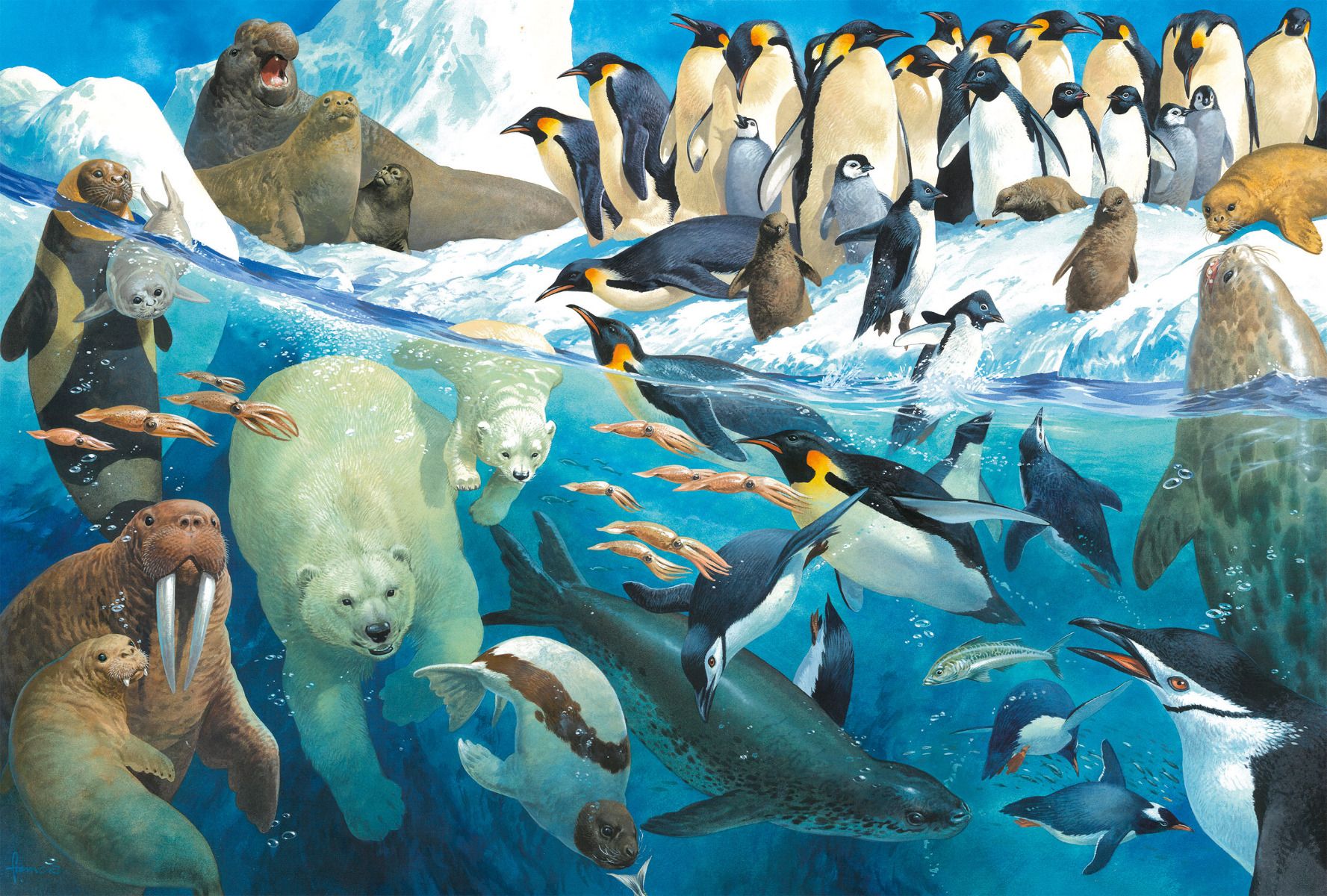 Tiere am Polarkreis | Puzzle 100T